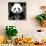 China 10MKm2 Collection - Giant Panda-Philippe Hugonnard-Photographic Print displayed on a wall