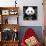 China 10MKm2 Collection - Giant Panda-Philippe Hugonnard-Photographic Print displayed on a wall