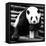 China 10MKm2 Collection - Giant Panda-Philippe Hugonnard-Framed Stretched Canvas