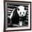 China 10MKm2 Collection - Giant Panda-Philippe Hugonnard-Framed Photographic Print