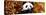 China 10MKm2 Collection - Giant Panda-Philippe Hugonnard-Stretched Canvas