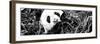 China 10MKm2 Collection - Giant Panda-Philippe Hugonnard-Framed Photographic Print