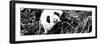 China 10MKm2 Collection - Giant Panda-Philippe Hugonnard-Framed Photographic Print