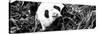 China 10MKm2 Collection - Giant Panda-Philippe Hugonnard-Stretched Canvas