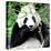 China 10MKm2 Collection - Giant Panda-Philippe Hugonnard-Stretched Canvas