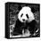 China 10MKm2 Collection - Giant Panda-Philippe Hugonnard-Framed Stretched Canvas