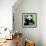 China 10MKm2 Collection - Giant Panda-Philippe Hugonnard-Framed Photographic Print displayed on a wall