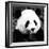 China 10MKm2 Collection - Giant Panda-Philippe Hugonnard-Framed Photographic Print