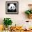 China 10MKm2 Collection - Giant Panda-Philippe Hugonnard-Framed Photographic Print displayed on a wall