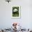 China 10MKm2 Collection - Giant Panda-Philippe Hugonnard-Framed Photographic Print displayed on a wall