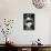 China 10MKm2 Collection - Giant Panda-Philippe Hugonnard-Stretched Canvas displayed on a wall