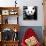 China 10MKm2 Collection - Giant Panda-Philippe Hugonnard-Stretched Canvas displayed on a wall