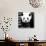China 10MKm2 Collection - Giant Panda-Philippe Hugonnard-Stretched Canvas displayed on a wall