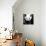 China 10MKm2 Collection - Giant Panda-Philippe Hugonnard-Mounted Photographic Print displayed on a wall