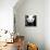 China 10MKm2 Collection - Giant Panda-Philippe Hugonnard-Stretched Canvas displayed on a wall