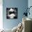 China 10MKm2 Collection - Giant Panda-Philippe Hugonnard-Photographic Print displayed on a wall