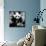 China 10MKm2 Collection - Giant Panda-Philippe Hugonnard-Mounted Photographic Print displayed on a wall