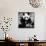 China 10MKm2 Collection - Giant Panda-Philippe Hugonnard-Mounted Photographic Print displayed on a wall