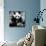 China 10MKm2 Collection - Giant Panda-Philippe Hugonnard-Stretched Canvas displayed on a wall