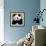 China 10MKm2 Collection - Giant Panda-Philippe Hugonnard-Framed Photographic Print displayed on a wall