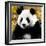 China 10MKm2 Collection - Giant Panda-Philippe Hugonnard-Framed Photographic Print