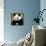 China 10MKm2 Collection - Giant Panda-Philippe Hugonnard-Framed Stretched Canvas displayed on a wall