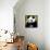 China 10MKm2 Collection - Giant Panda-Philippe Hugonnard-Framed Stretched Canvas displayed on a wall