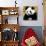 China 10MKm2 Collection - Giant Panda-Philippe Hugonnard-Photographic Print displayed on a wall