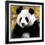 China 10MKm2 Collection - Giant Panda-Philippe Hugonnard-Framed Photographic Print