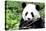 China 10MKm2 Collection - Giant Panda-Philippe Hugonnard-Stretched Canvas