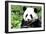 China 10MKm2 Collection - Giant Panda-Philippe Hugonnard-Framed Photographic Print