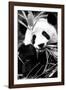 China 10MKm2 Collection - Giant Panda-Philippe Hugonnard-Framed Photographic Print