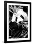 China 10MKm2 Collection - Giant Panda-Philippe Hugonnard-Framed Photographic Print