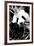 China 10MKm2 Collection - Giant Panda-Philippe Hugonnard-Framed Photographic Print