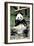 China 10MKm2 Collection - Giant Panda-Philippe Hugonnard-Framed Photographic Print