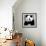 China 10MKm2 Collection - Giant Panda-Philippe Hugonnard-Framed Photographic Print displayed on a wall