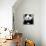 China 10MKm2 Collection - Giant Panda-Philippe Hugonnard-Mounted Photographic Print displayed on a wall