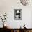 China 10MKm2 Collection - Giant Panda-Philippe Hugonnard-Framed Photographic Print displayed on a wall