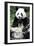 China 10MKm2 Collection - Giant Panda-Philippe Hugonnard-Framed Photographic Print