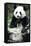 China 10MKm2 Collection - Giant Panda-Philippe Hugonnard-Framed Stretched Canvas