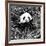 China 10MKm2 Collection - Giant Panda-Philippe Hugonnard-Framed Photographic Print