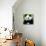 China 10MKm2 Collection - Giant Panda-Philippe Hugonnard-Stretched Canvas displayed on a wall