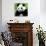 China 10MKm2 Collection - Giant Panda-Philippe Hugonnard-Photographic Print displayed on a wall