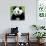 China 10MKm2 Collection - Giant Panda-Philippe Hugonnard-Photographic Print displayed on a wall