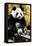 China 10MKm2 Collection - Giant Panda-Philippe Hugonnard-Framed Stretched Canvas