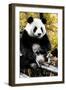 China 10MKm2 Collection - Giant Panda-Philippe Hugonnard-Framed Photographic Print