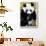 China 10MKm2 Collection - Giant Panda-Philippe Hugonnard-Framed Photographic Print displayed on a wall