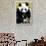 China 10MKm2 Collection - Giant Panda-Philippe Hugonnard-Framed Photographic Print displayed on a wall