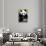 China 10MKm2 Collection - Giant Panda-Philippe Hugonnard-Stretched Canvas displayed on a wall