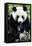 China 10MKm2 Collection - Giant Panda-Philippe Hugonnard-Framed Stretched Canvas